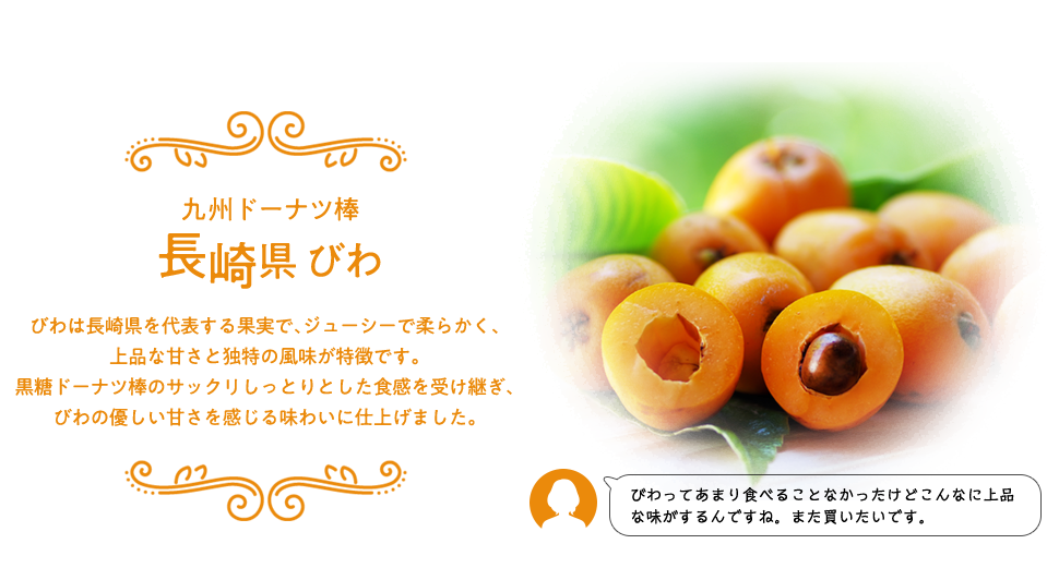 Web限定 九州ご当地ドーナツ棒8種アソートセット フジバンビ